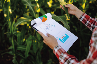 Formulación y evaluación de proyectos para las comunidades locales, organizaciones sociales y pequeños productores.