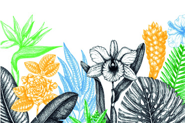 NaturArte: Explorando la biodiversidad a través del dibujo 