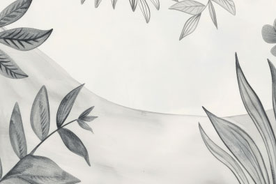 Biodiversidad en trazos. Taller de Ilustración Naturalista
